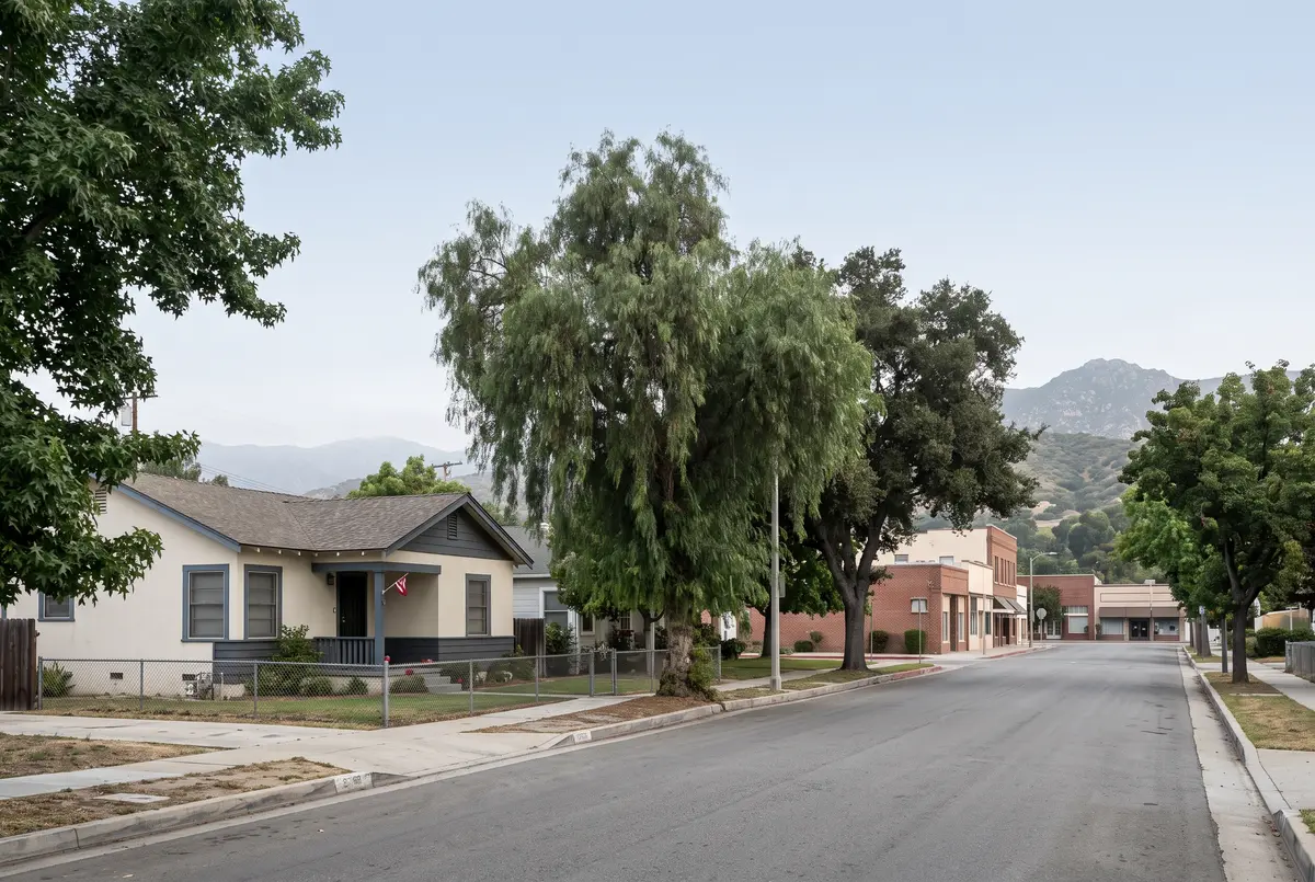Illustration of an older single-story stucco house with a small porch on a quiet tree-lined street, with low one- and two-story shop buildings at the far end and hills beyond.