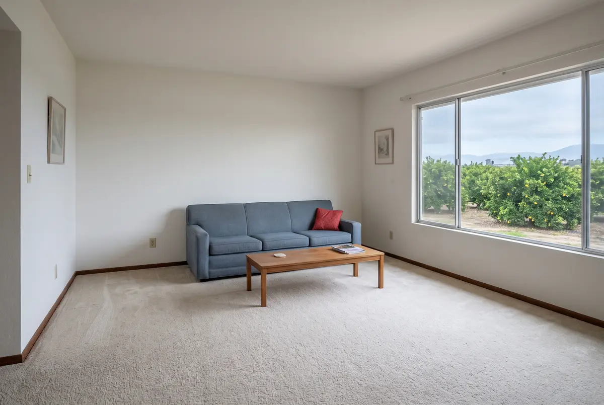 Illustration of a living room with light oatmeal wall-to-wall carpet, a slate-blue fabric sofa, a low wood coffee table and a wide window onto a lemon grove under a thinning marine layer.